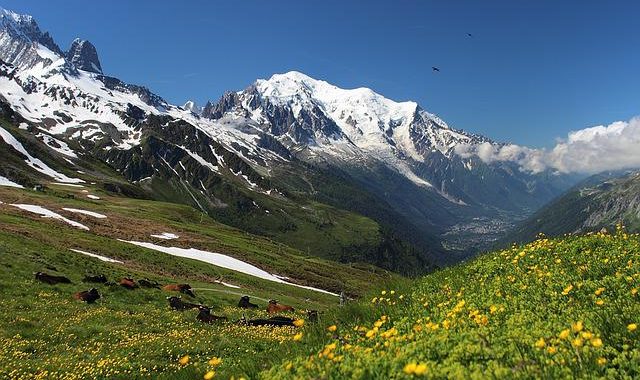 Tour du Mont Blanc : circuits et étapes